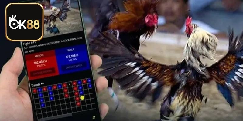 Cược đá gà vừa giải trí vừa rinh thưởng